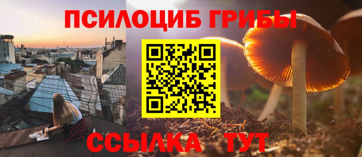 Галлюциногенные грибы ЛСД Шелехов